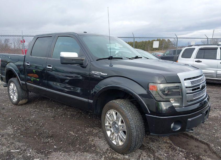 2013 Ford F-150 PLATINUM (VIN 1FTFW1EF5DFB17541) main photo