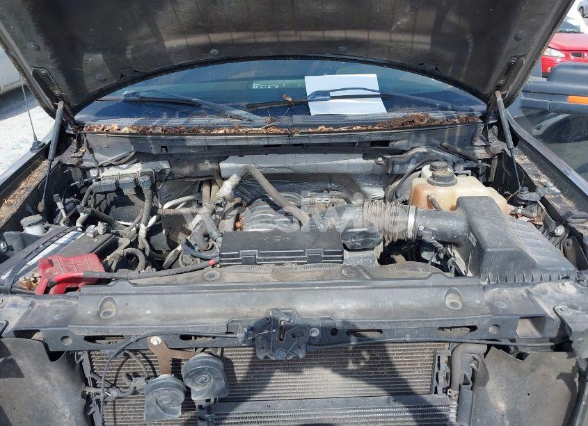 Photo 10 of 2013 Ford F-150 XLT (VIN 1FTFW1EF5DFB41984)