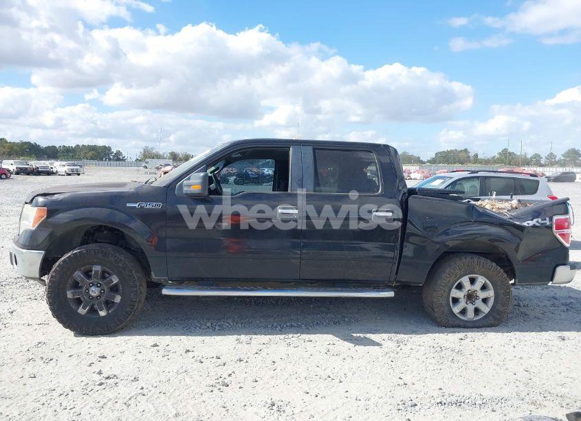 Photo 14 of 2013 Ford F-150 XLT (VIN 1FTFW1EF5DFB41984)