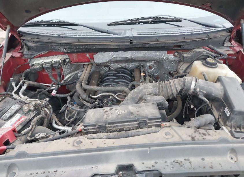 Photo 10 of 2013 Ford F-150 XLT (VIN 1FTFW1EF5DKD14801)