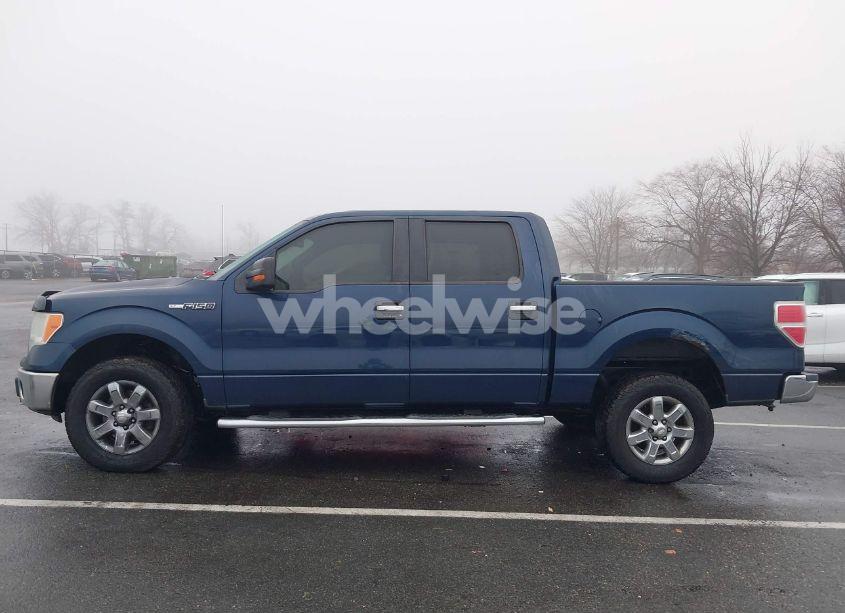 Photo 14 of 2013 Ford F-150 XLT (VIN 1FTFW1EF5DKD18377)