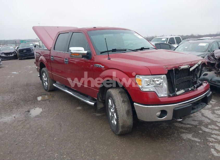 2013 Ford F-150 XLT (VIN 1FTFW1EF5DKD79924) main photo