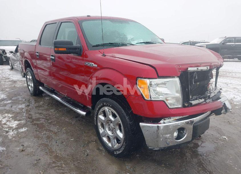 2014 Ford F-150 XLT (VIN 1FTFW1EF5EFA60193) main photo