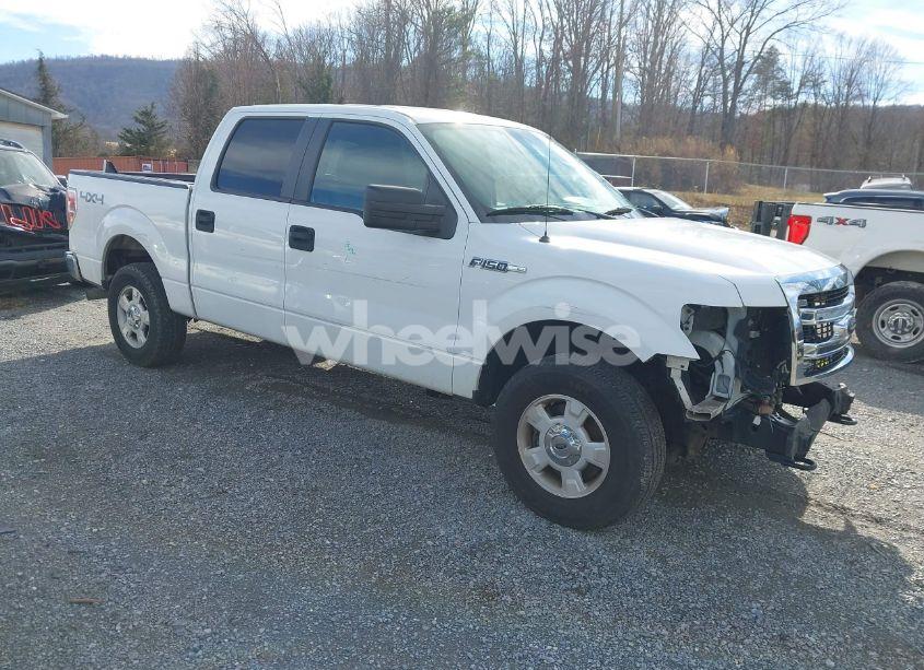 2014 Ford F-150 XLT (VIN 1FTFW1EF5EFB02264) main photo