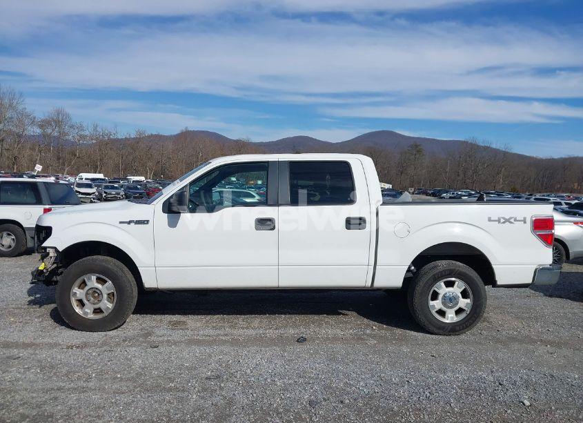 Photo 15 of 2014 Ford F-150 XLT (VIN 1FTFW1EF5EFB02264)