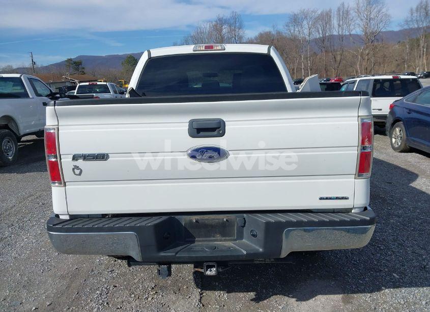 Photo 17 of 2014 Ford F-150 XLT (VIN 1FTFW1EF5EFB02264)