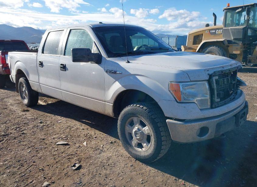 2014 Ford F-150 XLT (VIN 1FTFW1EF5EFC19228) main photo