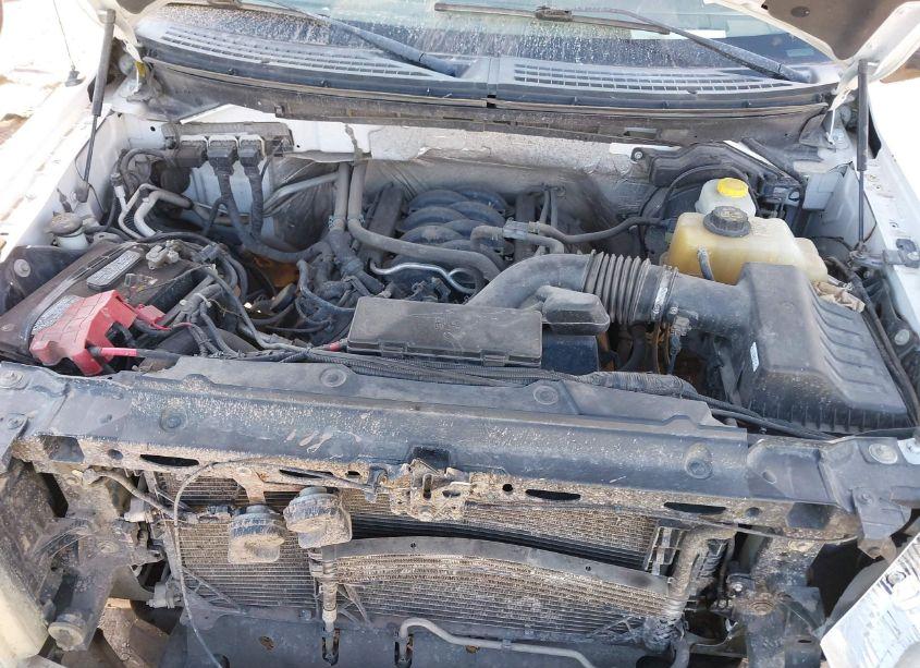 Photo 10 of 2014 Ford F-150 XLT (VIN 1FTFW1EF5EFC19228)