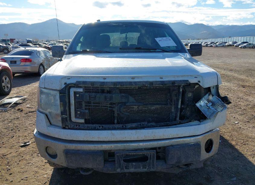 Photo 12 of 2014 Ford F-150 XLT (VIN 1FTFW1EF5EFC19228)