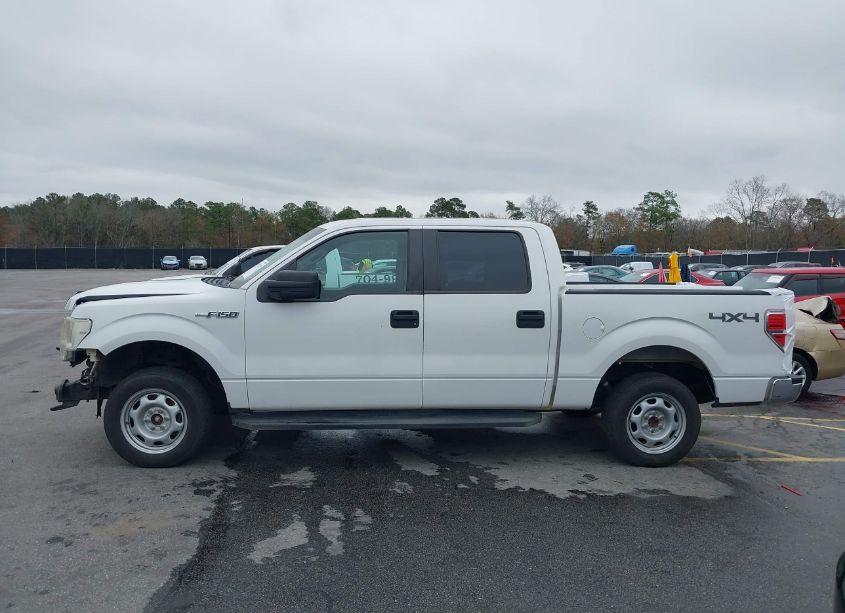 Photo 15 of 2014 Ford F-150 XL (VIN 1FTFW1EF5EKD69508)