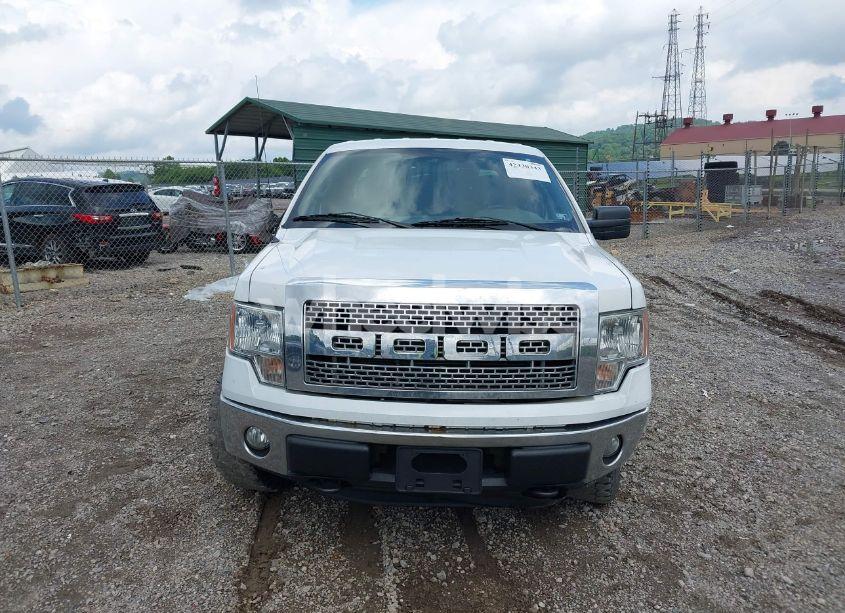 Photo 13 of 2014 Ford F-150 XL (VIN 1FTFW1EF5EKD72960)