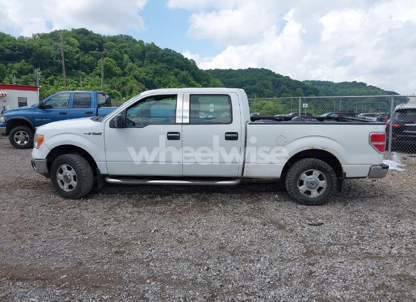 Photo 15 of 2014 Ford F-150 XL (VIN 1FTFW1EF5EKD72960)