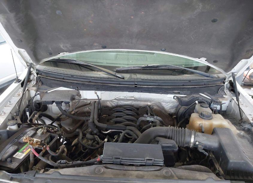 Photo 8 of 2011 Ford F-150 XLT (VIN 1FTFW1EF6BKD10253)