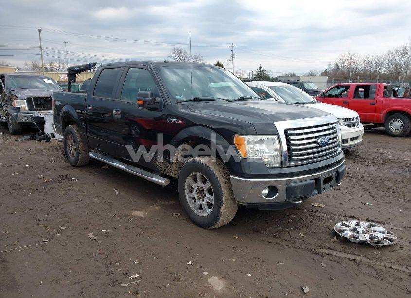 2011 Ford F-150 XLT (VIN 1FTFW1EF6BKD55905) main photo