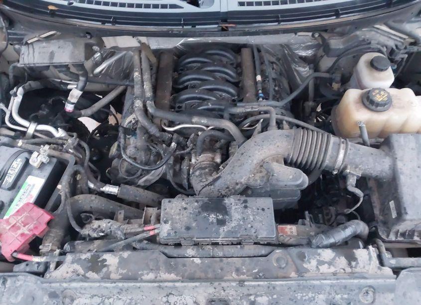 Photo 10 of 2012 Ford F-150 XLT (VIN 1FTFW1EF6CFC29599)