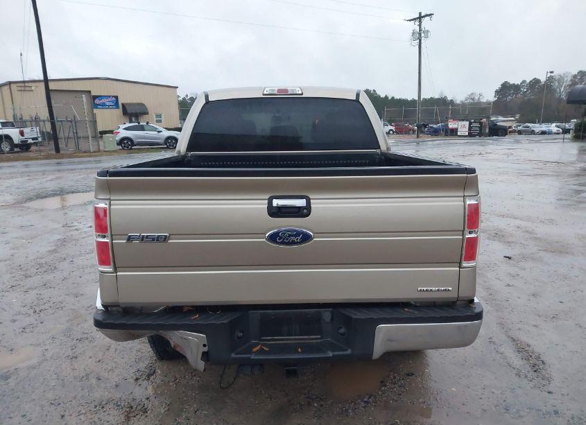 Photo 16 of 2012 Ford F-150 XLT (VIN 1FTFW1EF6CFC29599)