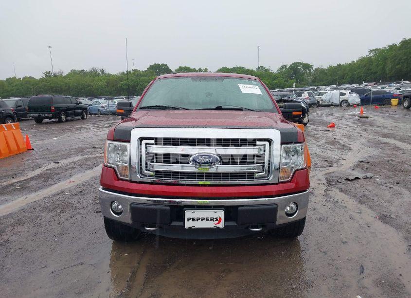 Photo 12 of 2013 Ford F-150 XLT (VIN 1FTFW1EF6DFB48555)