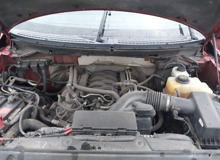 Photo 10 of 2013 Ford F-150 XLT (VIN 1FTFW1EF6DFD88270)