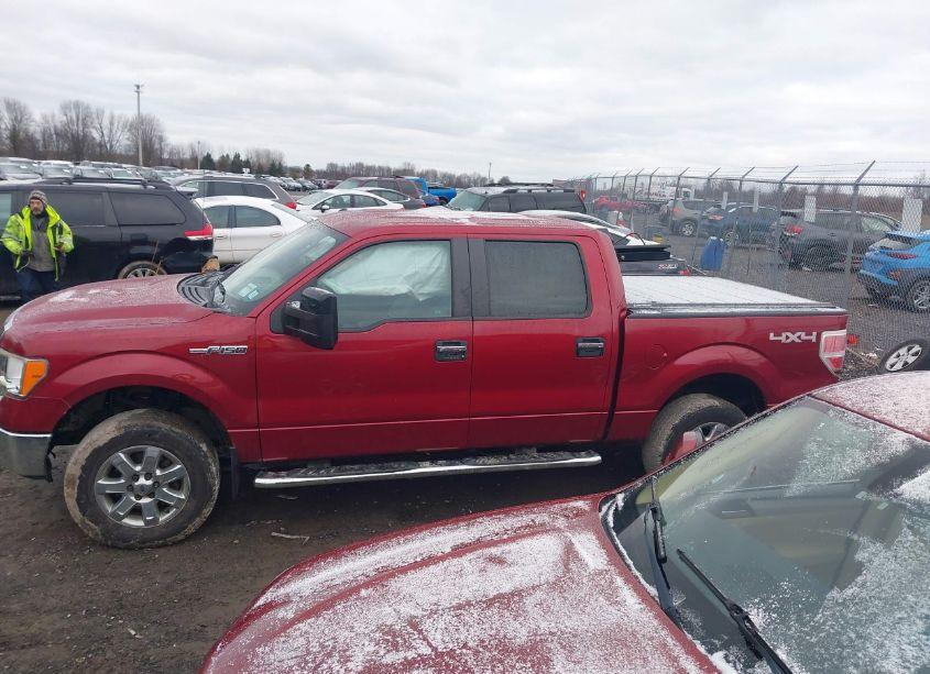Photo 14 of 2013 Ford F-150 XLT (VIN 1FTFW1EF6DFD88270)
