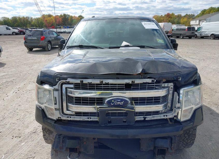 Photo 12 of 2014 Ford F-150 XLT (VIN 1FTFW1EF6EFA97995)