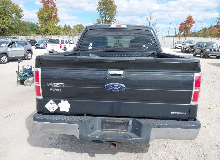 Photo 16 of 2014 Ford F-150 XLT (VIN 1FTFW1EF6EFA97995)