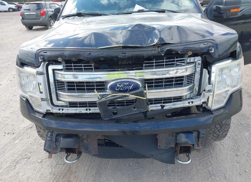 Photo 6 of 2014 Ford F-150 XLT (VIN 1FTFW1EF6EFA97995)