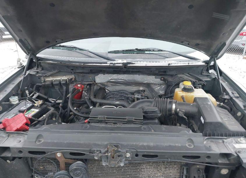 Photo 10 of 2014 Ford F-150 XLT (VIN 1FTFW1EF6EFB12088)