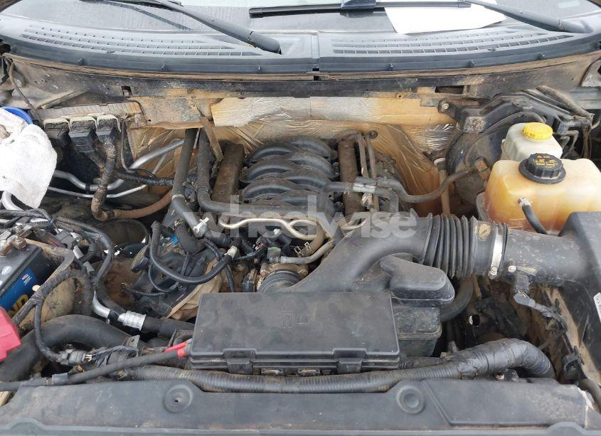 Photo 10 of 2014 Ford F-150 FX4 (VIN 1FTFW1EF6EFC25510)