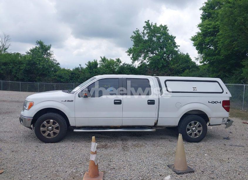 Photo 15 of 2014 Ford F-150 XLT (VIN 1FTFW1EF6EKE20207)