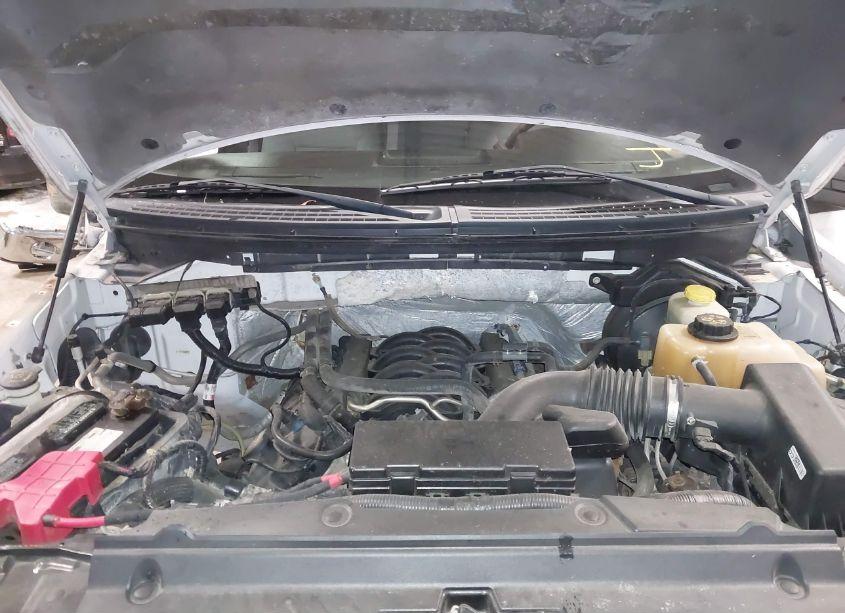 Photo 10 of 2014 Ford F-150 XLT (VIN 1FTFW1EF6EKF93936)