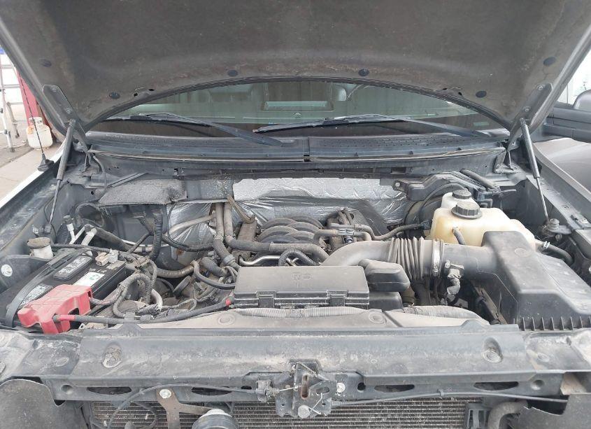 Photo 10 of 2011 Ford F-150 FX4 (VIN 1FTFW1EF7BFD13400)