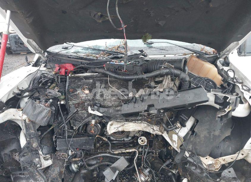 Photo 10 of 2013 Ford F-150 XLT (VIN 1FTFW1EF7DFB53506)