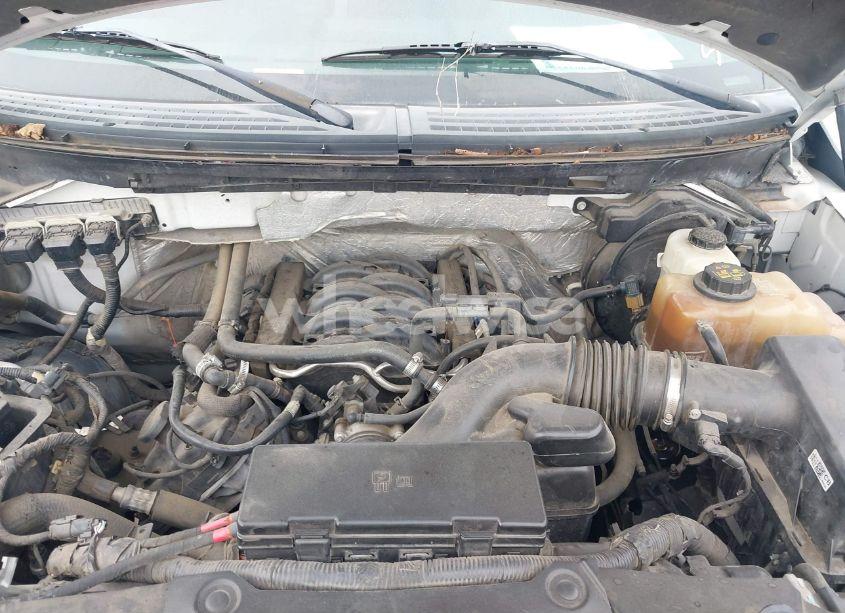 Photo 10 of 2013 Ford F-150 XLT (VIN 1FTFW1EF7DFC06267)