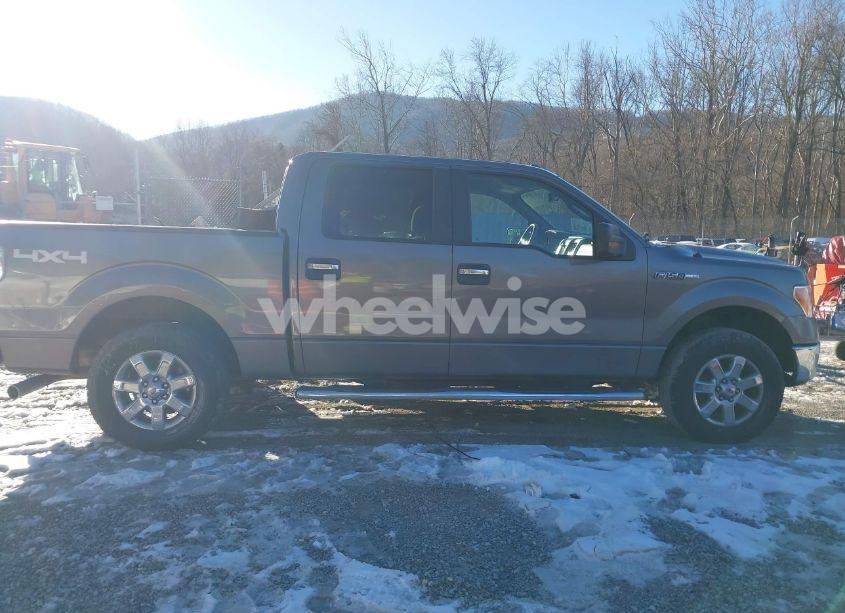 Photo 14 of 2013 Ford F-150 XLT (VIN 1FTFW1EF7DFD79965)