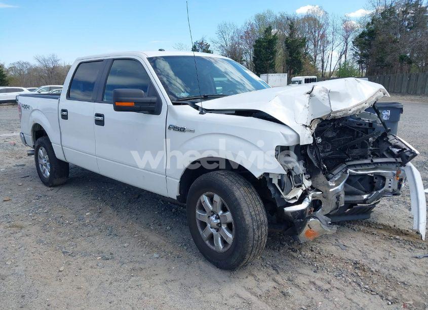 2013 Ford F-150 XLT (VIN 1FTFW1EF7DKD34810) main photo