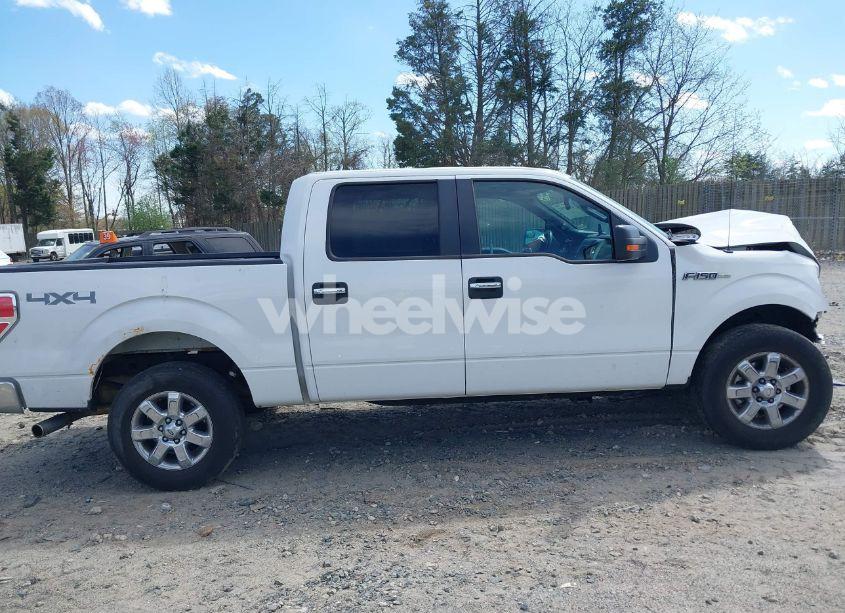 Photo 13 of 2013 Ford F-150 XLT (VIN 1FTFW1EF7DKD34810)