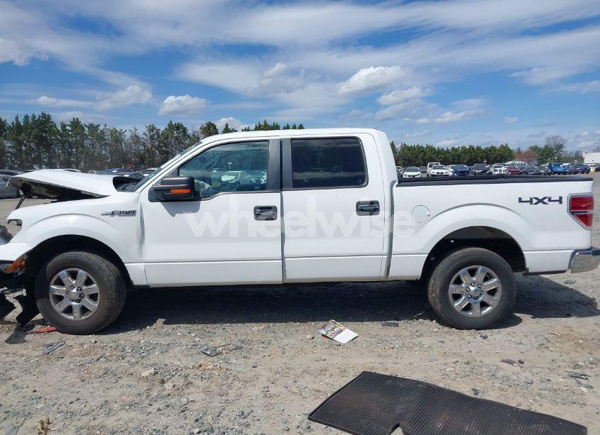 Photo 14 of 2013 Ford F-150 XLT (VIN 1FTFW1EF7DKD34810)