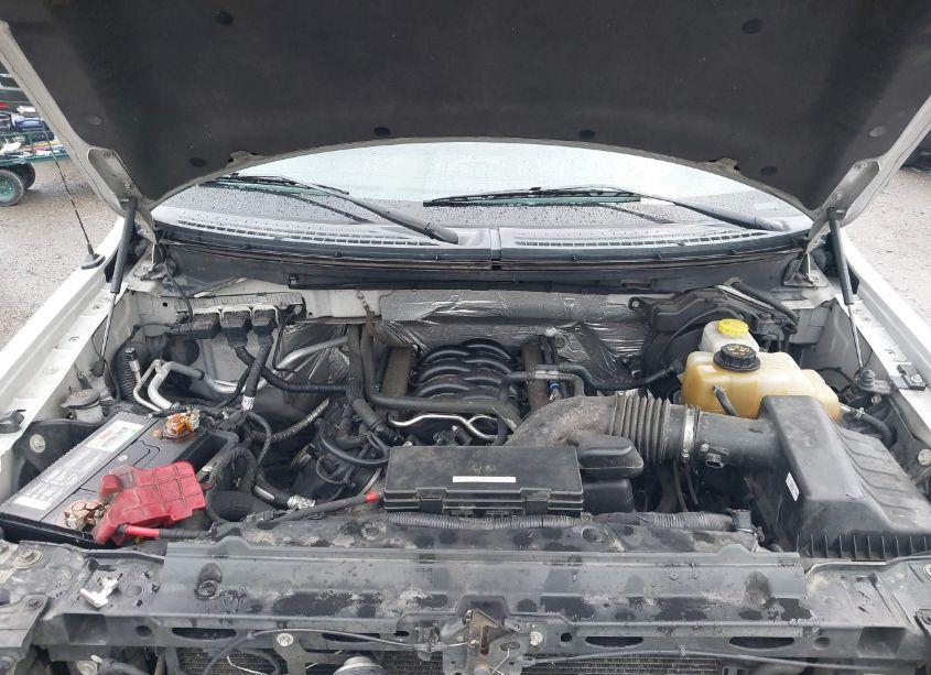 Photo 10 of 2014 Ford F-150 STX (VIN 1FTFW1EF7EFA70756)