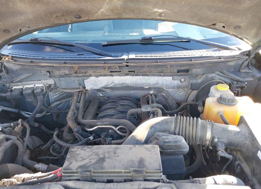 Photo 10 of 2014 Ford F-150 XLT (VIN 1FTFW1EF7EFB60828)