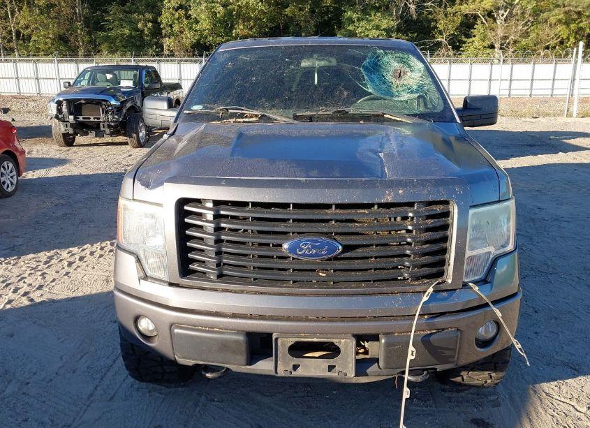 Photo 12 of 2014 Ford F-150 STX (VIN 1FTFW1EF7EKG31903)