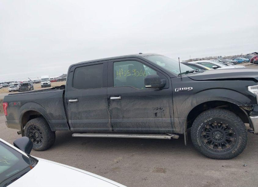 Photo 13 of 2015 Ford F-150 XLT (VIN 1FTFW1EF7FKD19372)