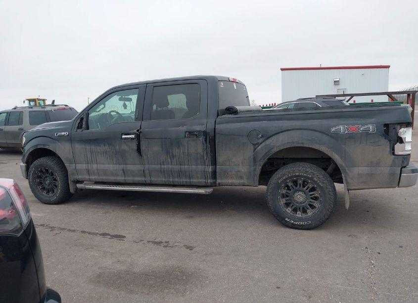 Photo 14 of 2015 Ford F-150 XLT (VIN 1FTFW1EF7FKD19372)