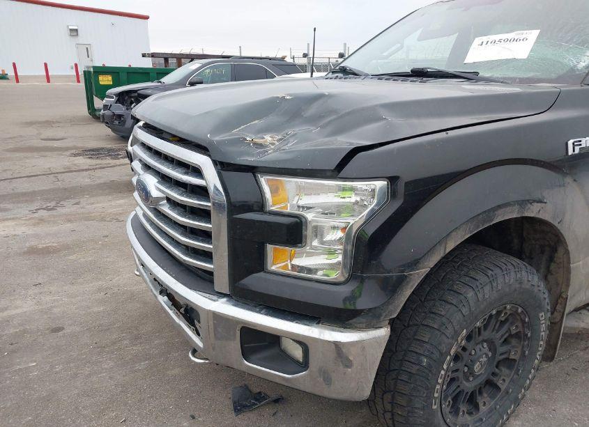 Photo 6 of 2015 Ford F-150 XLT (VIN 1FTFW1EF7FKD19372)