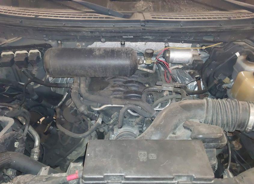 Photo 10 of 2011 Ford F-150 FX4 (VIN 1FTFW1EF8BFA51788)