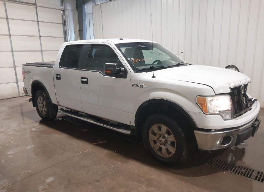 2011 Ford F-150 XLT (VIN 1FTFW1EF8BFA73824) main photo