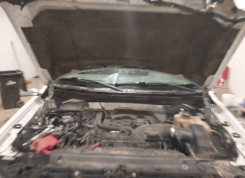 Photo 10 of 2011 Ford F-150 XLT (VIN 1FTFW1EF8BFA73824)