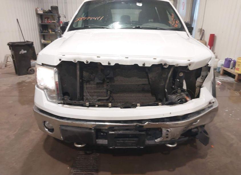 Photo 12 of 2011 Ford F-150 XLT (VIN 1FTFW1EF8BFA73824)