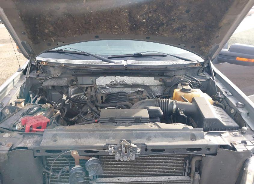 Photo 10 of 2011 Ford F-150 XLT (VIN 1FTFW1EF8BFA75315)