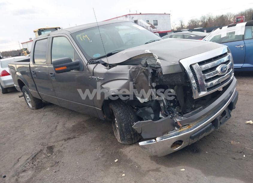 2011 Ford F-150 XLT (VIN 1FTFW1EF8BFB00309) main photo
