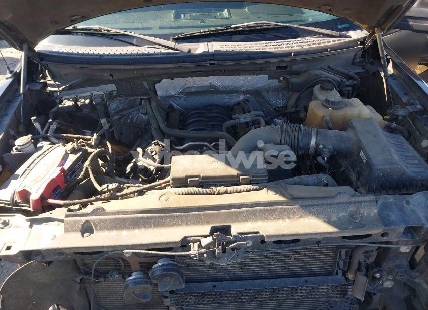 Photo 10 of 2013 Ford F-150 FX4 (VIN 1FTFW1EF8DFB01589)